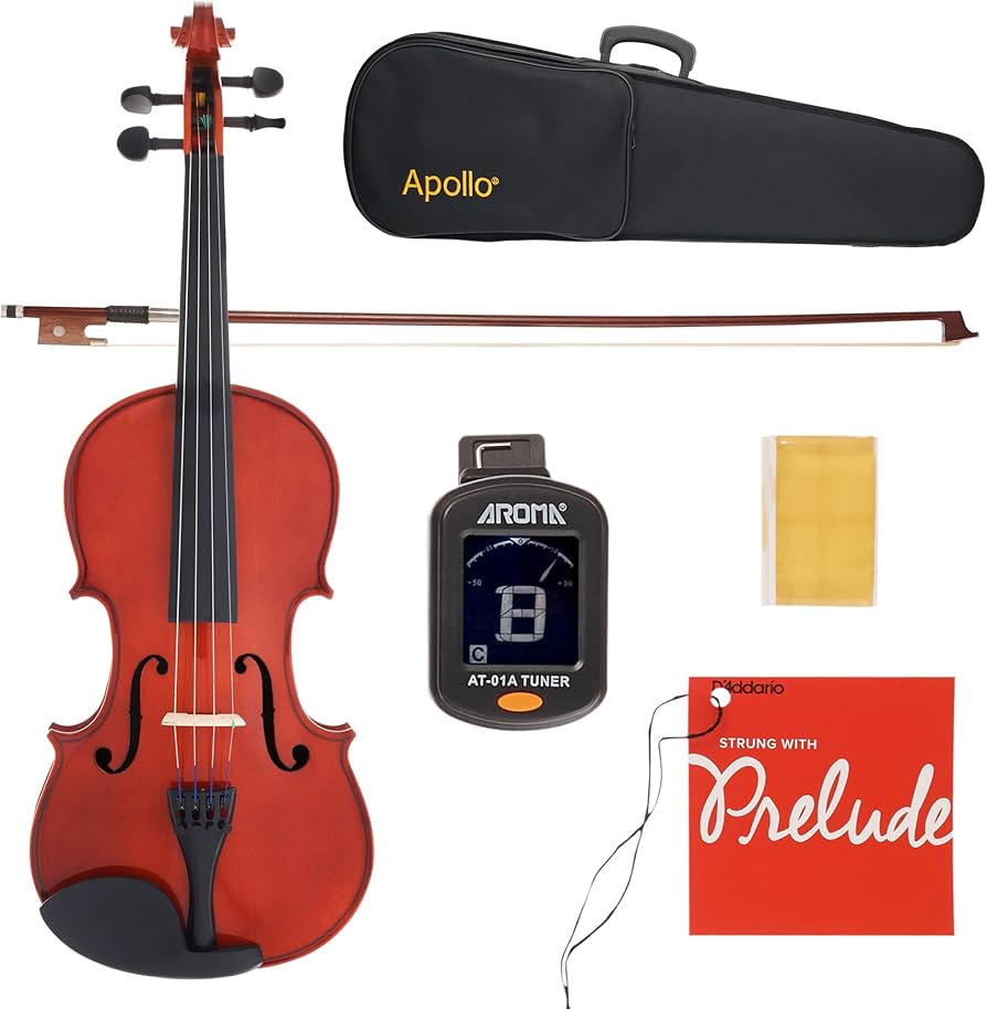 Apollo 4/4-size Solidwood Violin with Ebony Fittings, Complete with case and D'Addario Prelude Strings